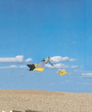 Sky-Ground-Plastic, 1998
